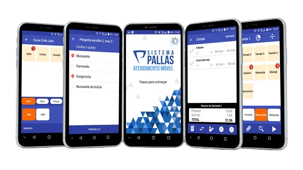 Pallas de Bolso